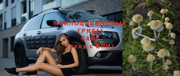 гашик Балахна