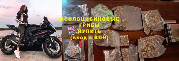 apvp Арсеньев