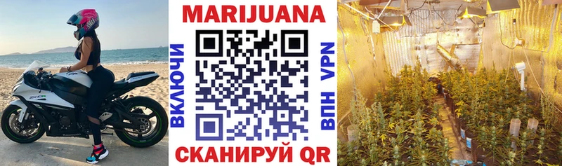 купить закладку  Саянск  Бошки Шишки SATIVA & INDICA 